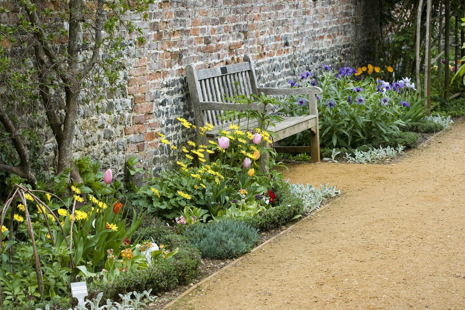 a traditional garden with a bench against a wall and breedon gravel