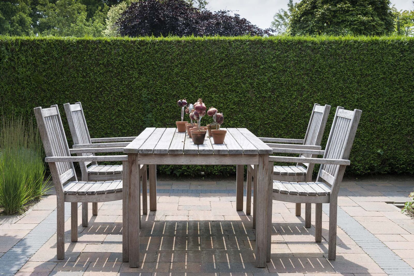 yew hedge with a table and chairs on a terrace