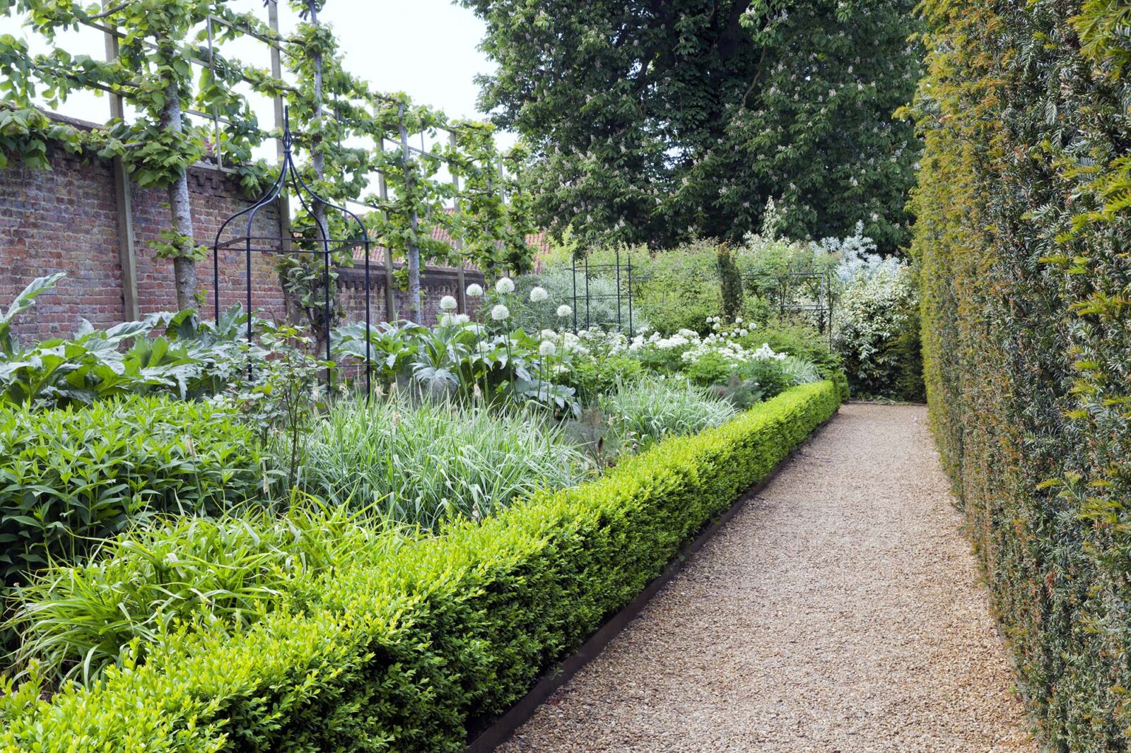 Formal garden with pleached trees, yew hedges, box borders and herbs