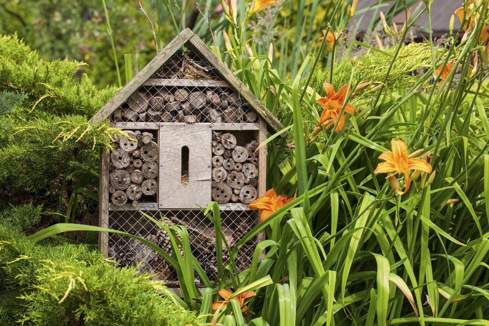 wildlife habitats, such as an insect hotel in a garden ensures the wildlife you attract will shelter and establish.