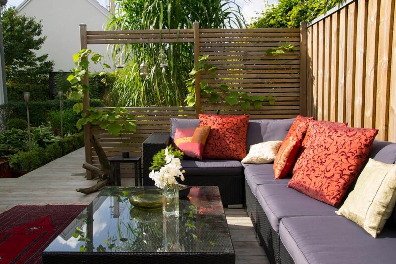 Small contemporary garden with very comfortable lounging chairs and a Venetian screen and some large and tall evergreen patio plants in pots.