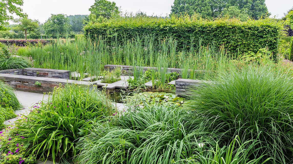 Traditional garden with a stone water feature
