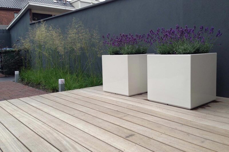 a garden deck with two large white planters with lavender and a hardwood decking. Behind the planters is a feature wall painted in grey.