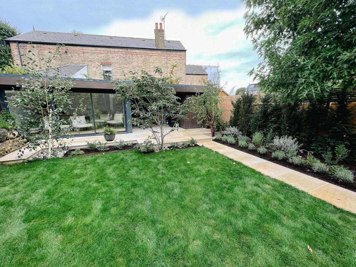 Contemporary garden with mature trees, sawn sandstone paving, new lawn and rich green planting