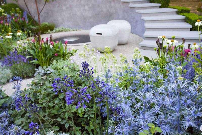 Contemporary garden with stone steps, small water feature, and stunning planting