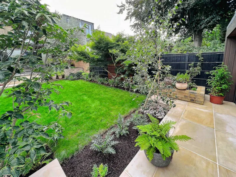 Garden with a lawn area near a patio and a fence that is painted in black that is bordered with a rich planting and a specimen Acer.