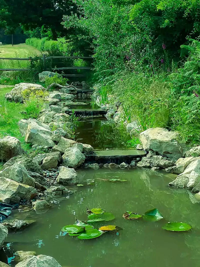 Beautiful wildlife pond and stream with lots of works and small waterfalls with water cascading over the top. The stream is surrounded by rich green planting that attracts wildlife